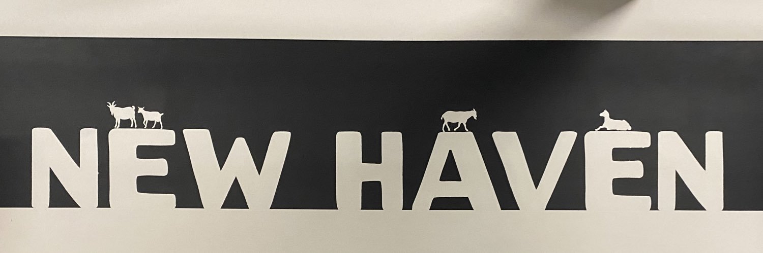 Shreya Saxena banner