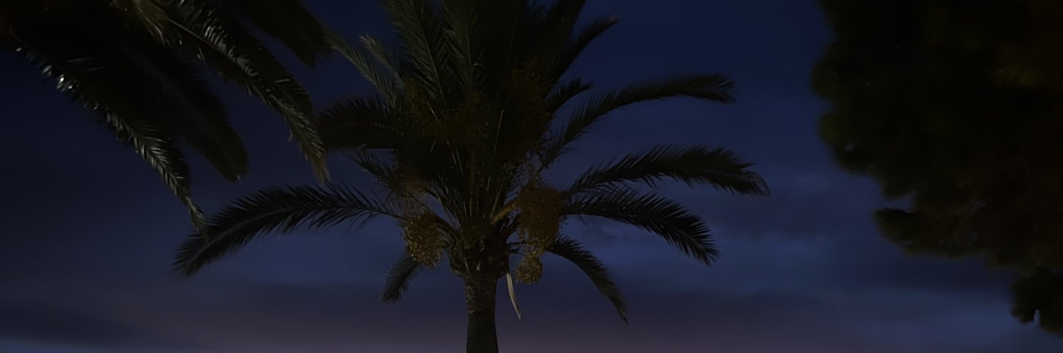 dwensy's profile banner image