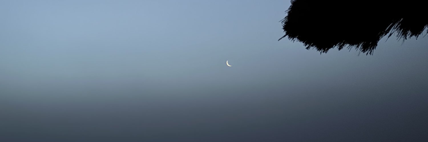 selma_ox's profile banner image