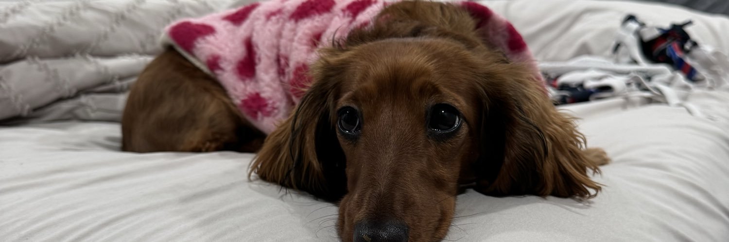 Erin McCarthy banner