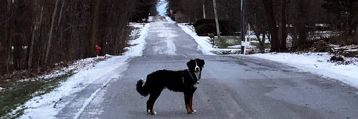 michaelLZuni's profile banner image