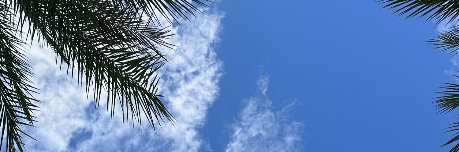 PrincessxBri's profile banner image