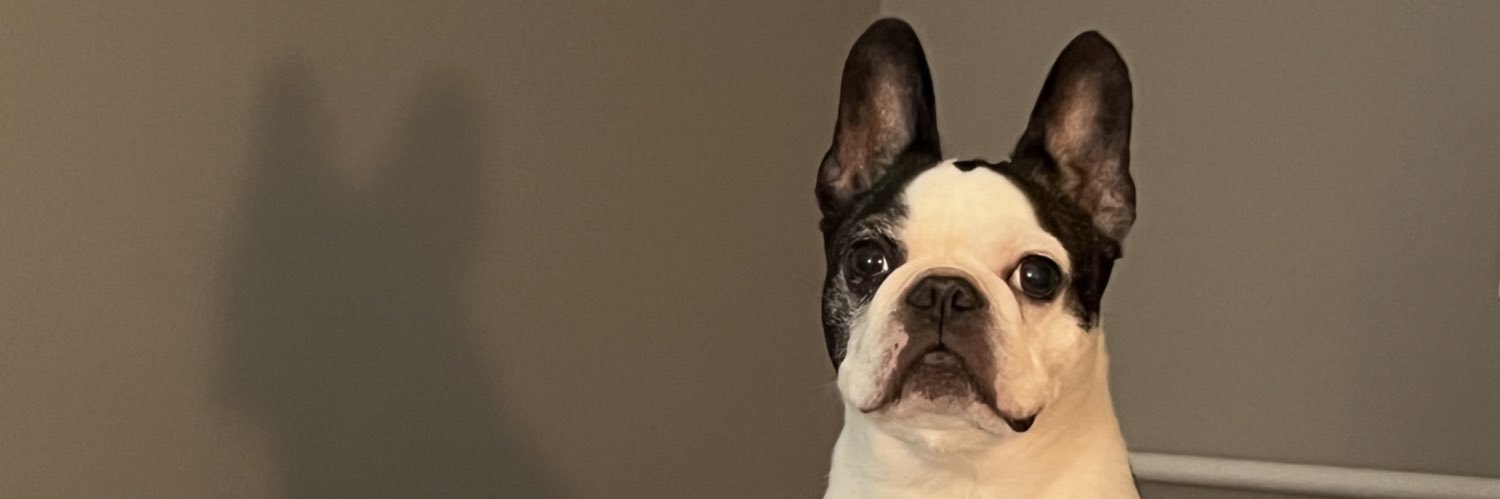 aboutkenz's profile banner image