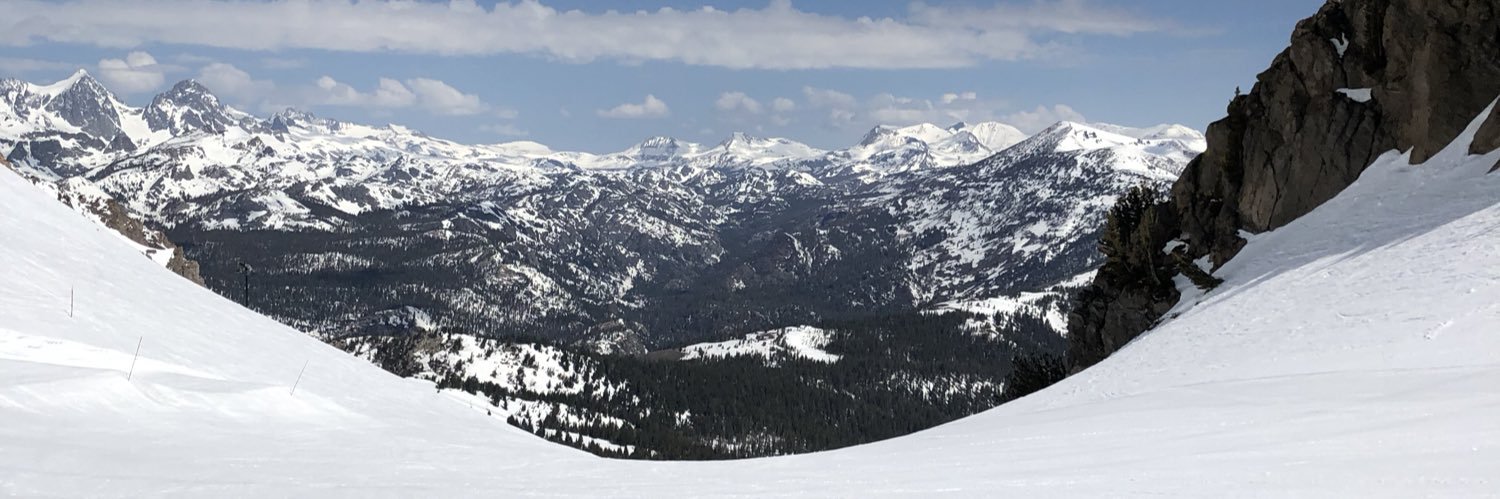 Rachel Goldstein banner