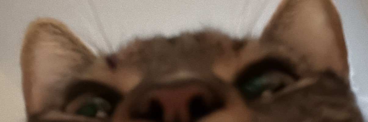 __nojohns__'s profile banner image
