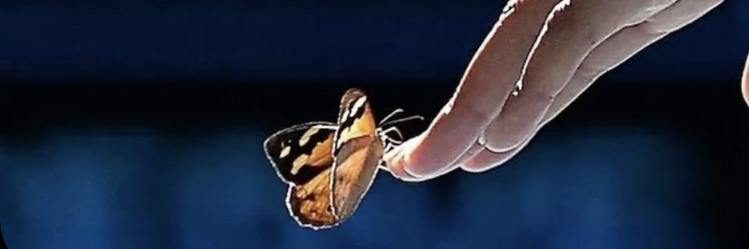 http_laurennn3's profile banner image