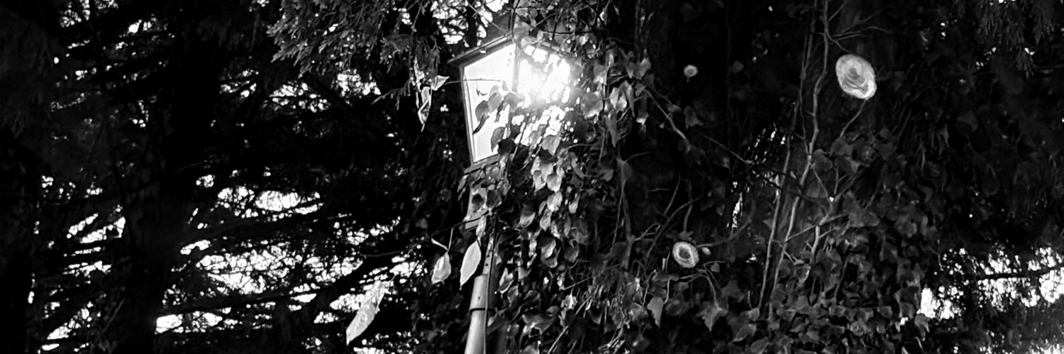 nightmare161's profile banner image