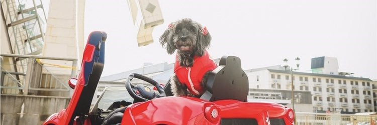 toysmako's profile banner image
