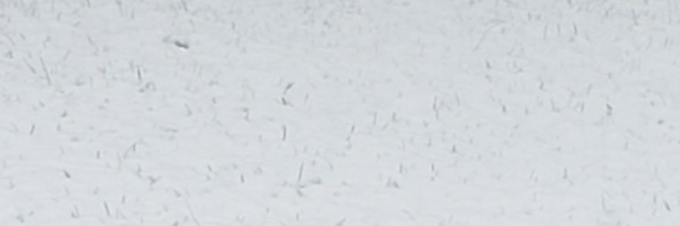 kircranefil's profile banner image