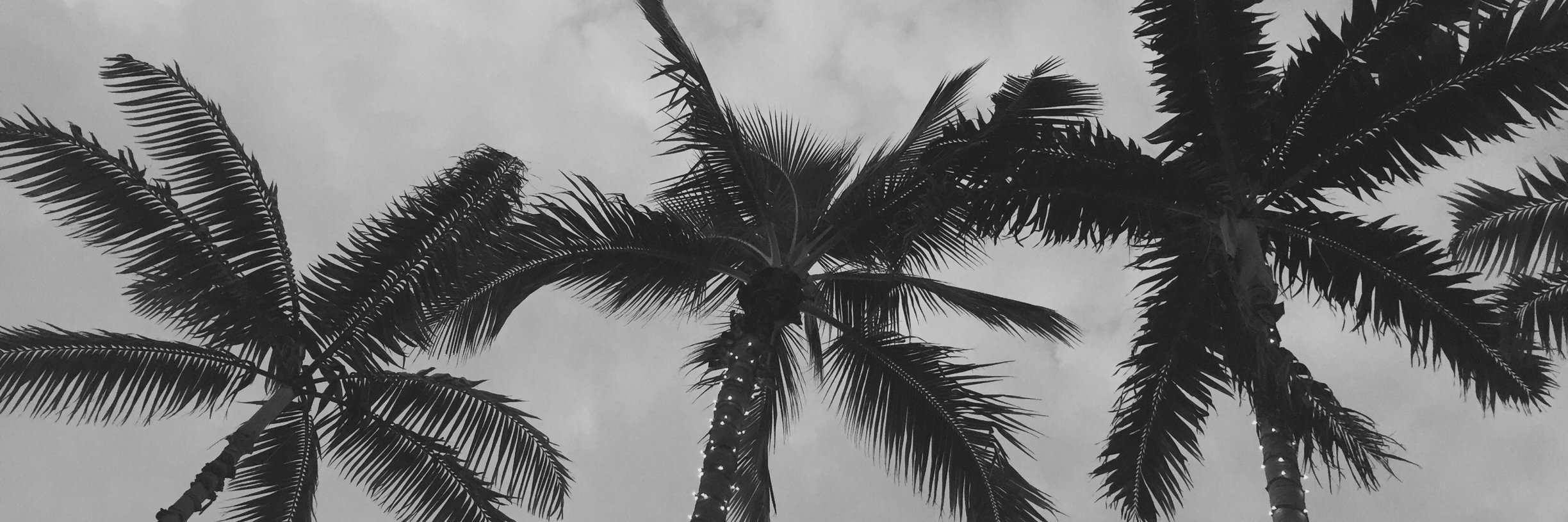samidevinney's profile banner image