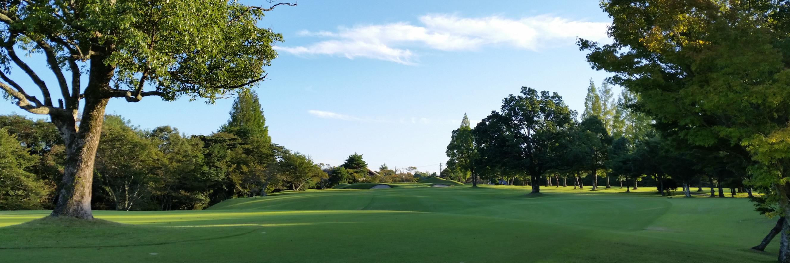 vivogolfstudio's profile banner image