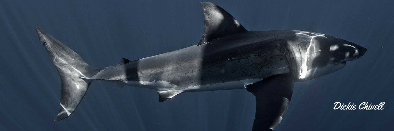 Dickie Chivell banner