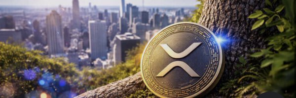 TrinityAshcroft Profile Banner