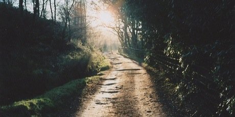 FredW_NG's profile banner image