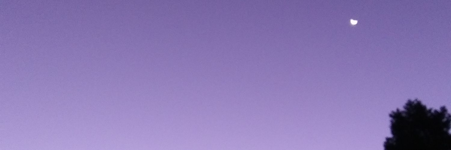 msartino's profile banner image