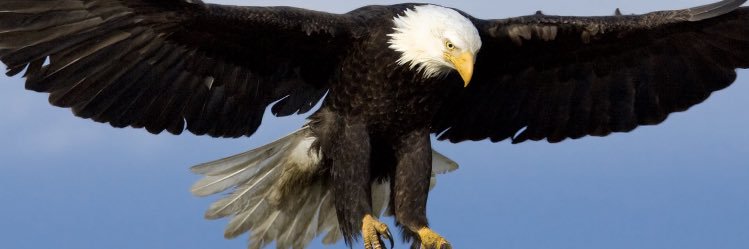_Rebell24's profile banner image