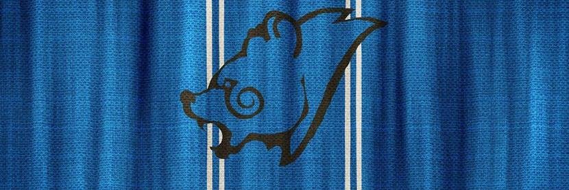 Drew banner