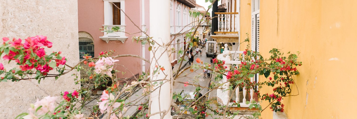 Maycie Timpone banner