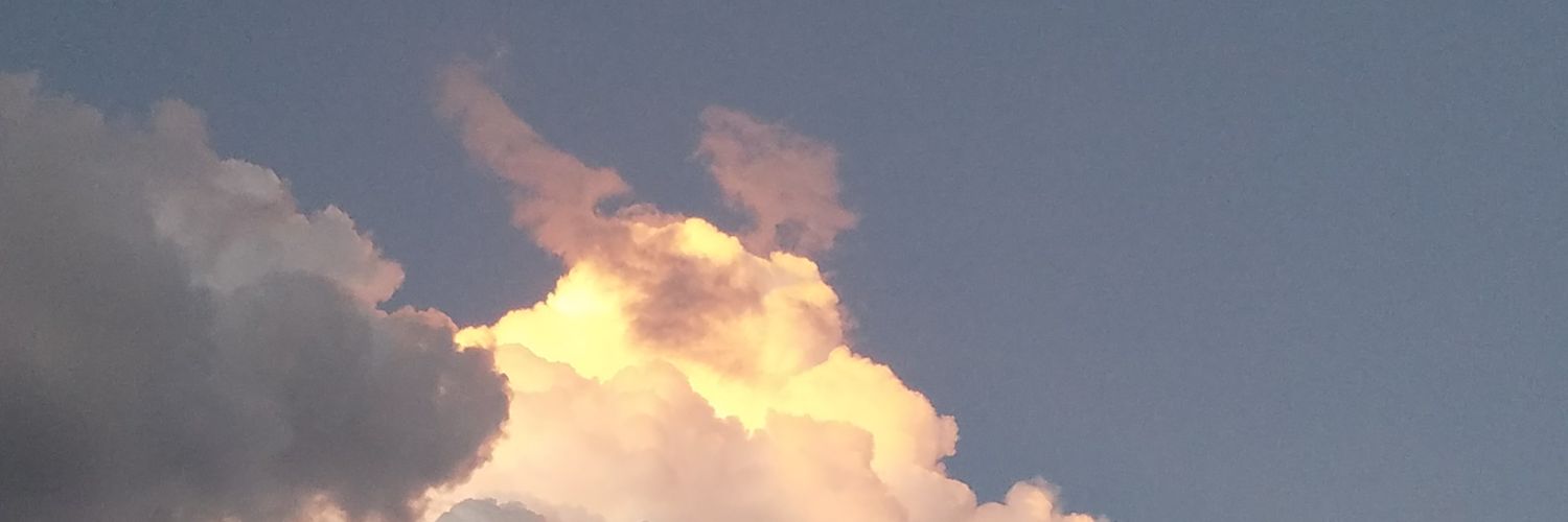 rollermonkeysmom banner