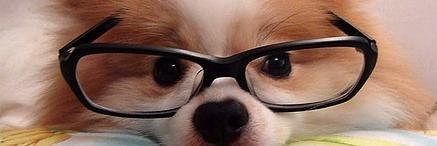 g_smithx's profile banner image