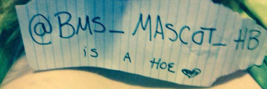 BMS_MASCOT_HB's profile banner image