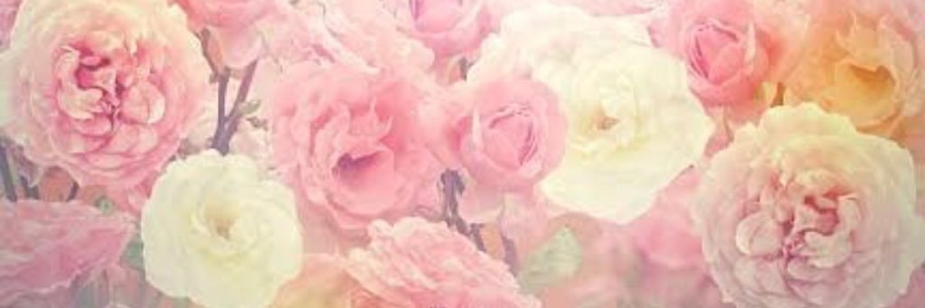 mmckee03's profile banner image
