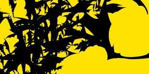 Stanley_Torrez's profile banner image