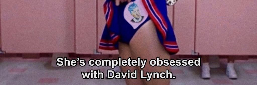 ziggy polvoestrella banner