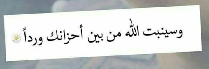 ali82_nor's profile banner image