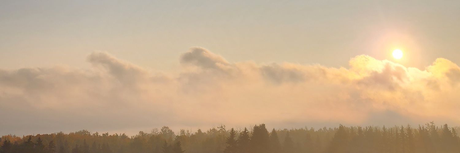 BVD72's profile banner image
