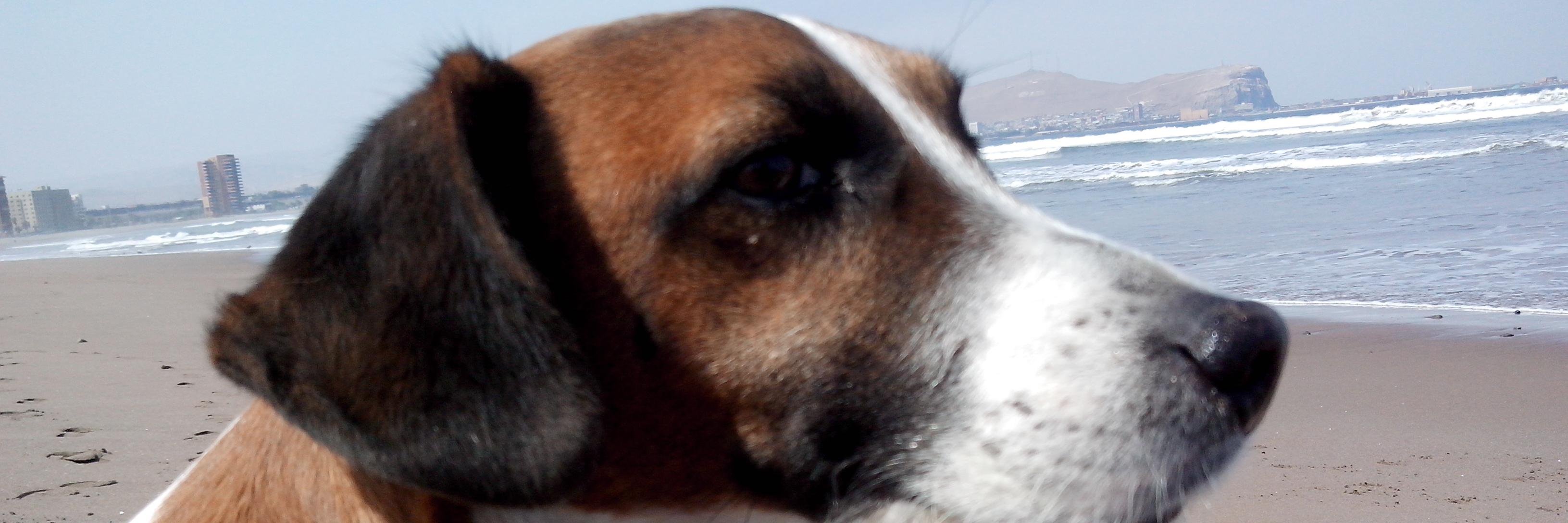 andrei_bp3's profile banner image