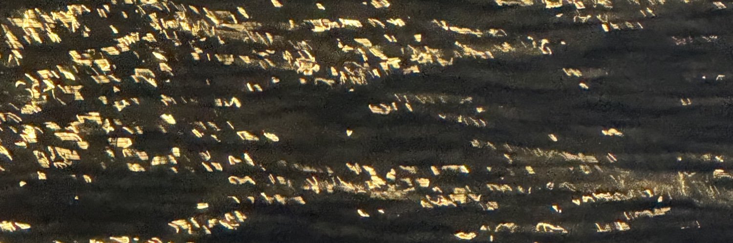 vellienus's profile banner image