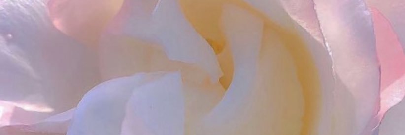 MischaMichel's profile banner image