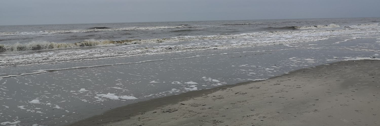 meloiinga's profile banner image