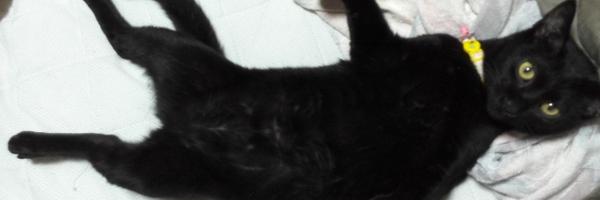 t_tmnr Profile Banner