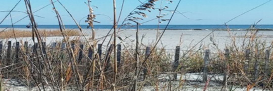 FollyBeachStay's profile banner image