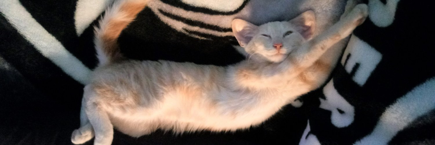 Miss Kona & Puddles (her hoom) banner