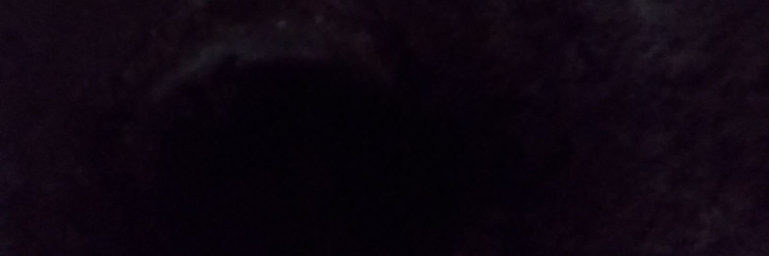 sqawlr's profile banner image