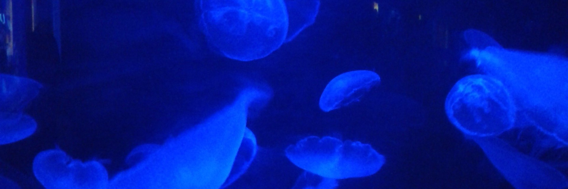 tatihilgemberg's profile banner image