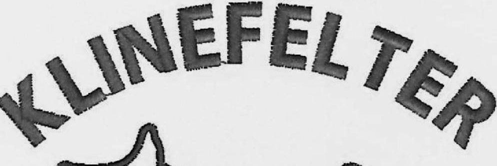 KlinefelterTim's profile banner image
