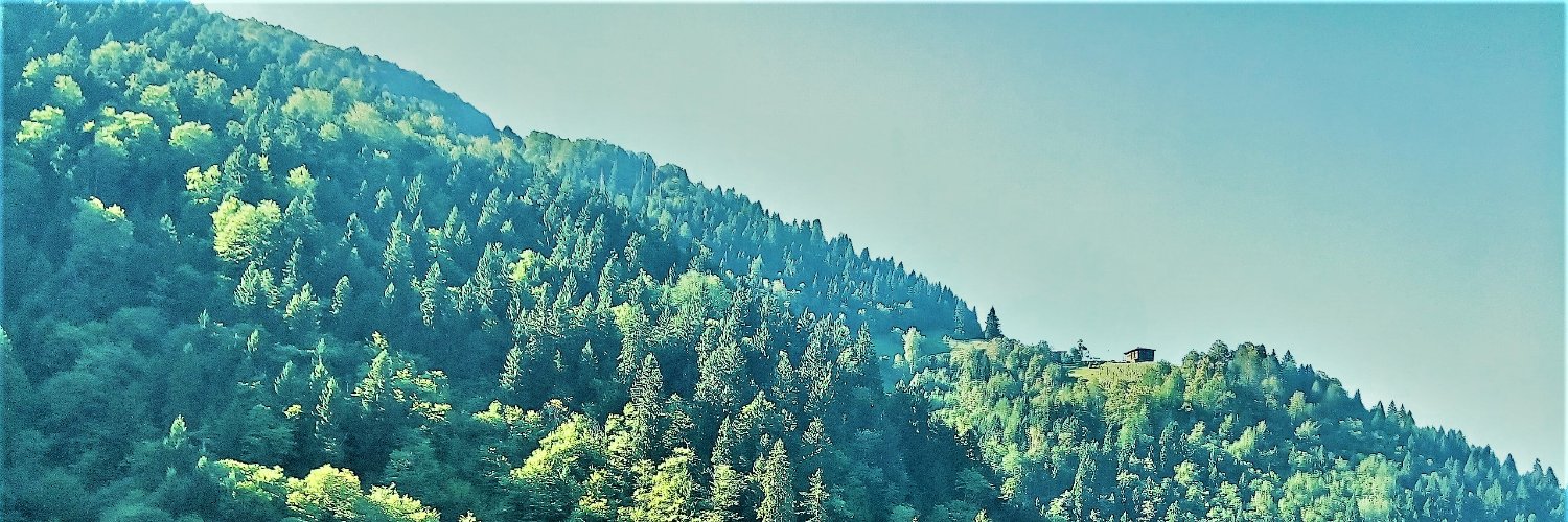 hasan küpe banner