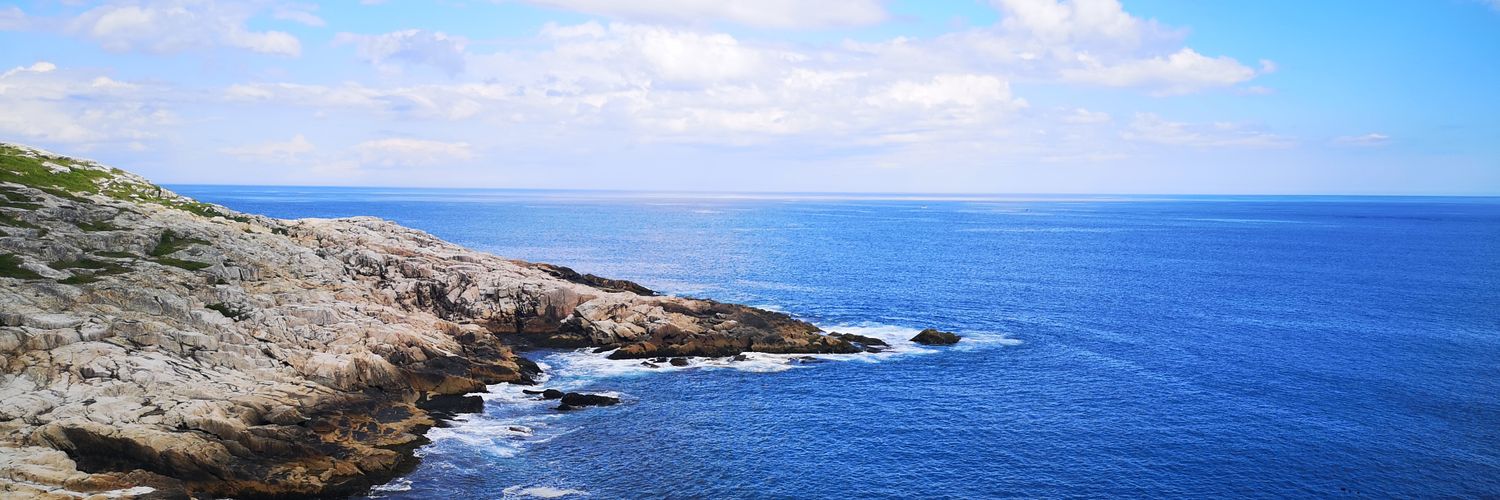 Jeanette Boudreau (she/her) banner