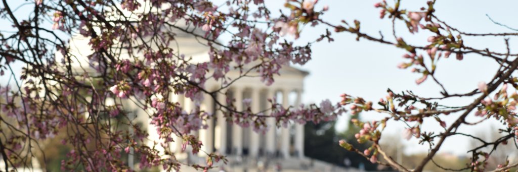 Sharon Langston banner