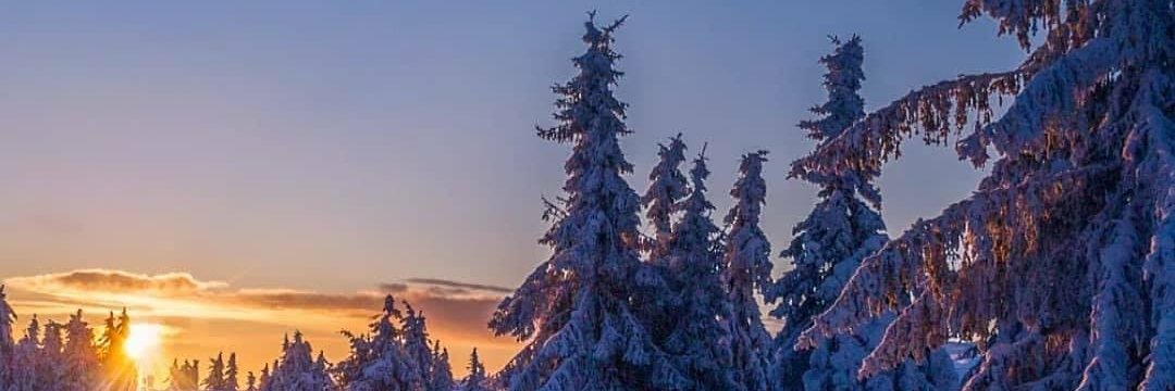 Debby Swihart banner