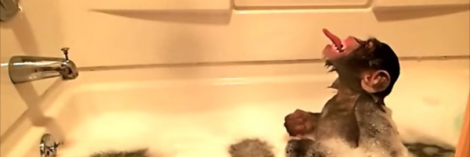 very special episode banner