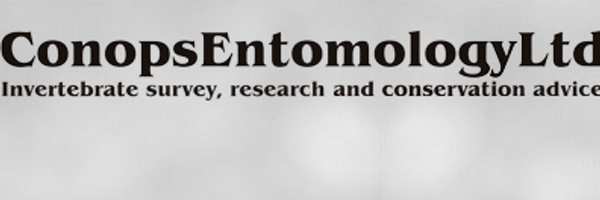 ConopsEnto Profile Banner