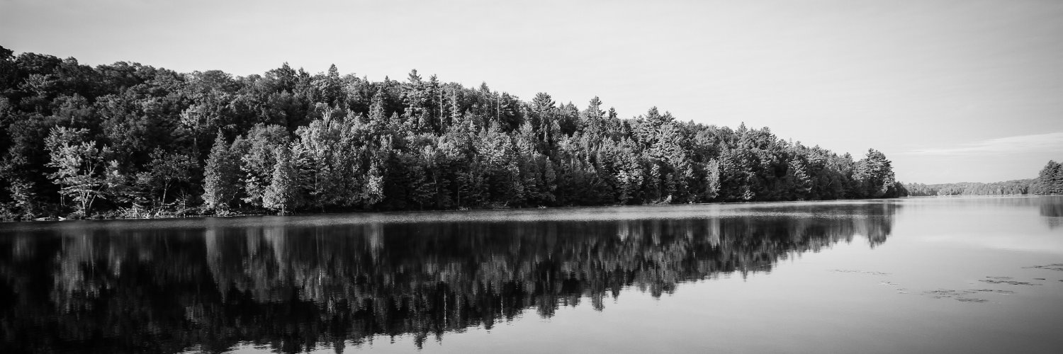 TD_Photo's profile banner image