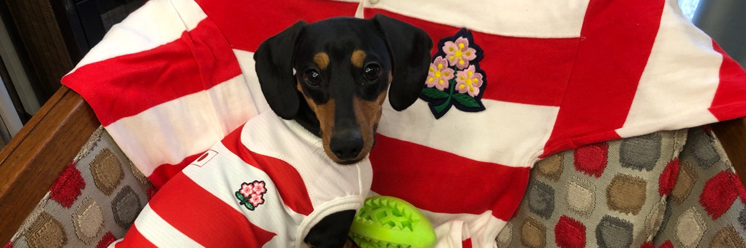 ms_rioka's profile banner image