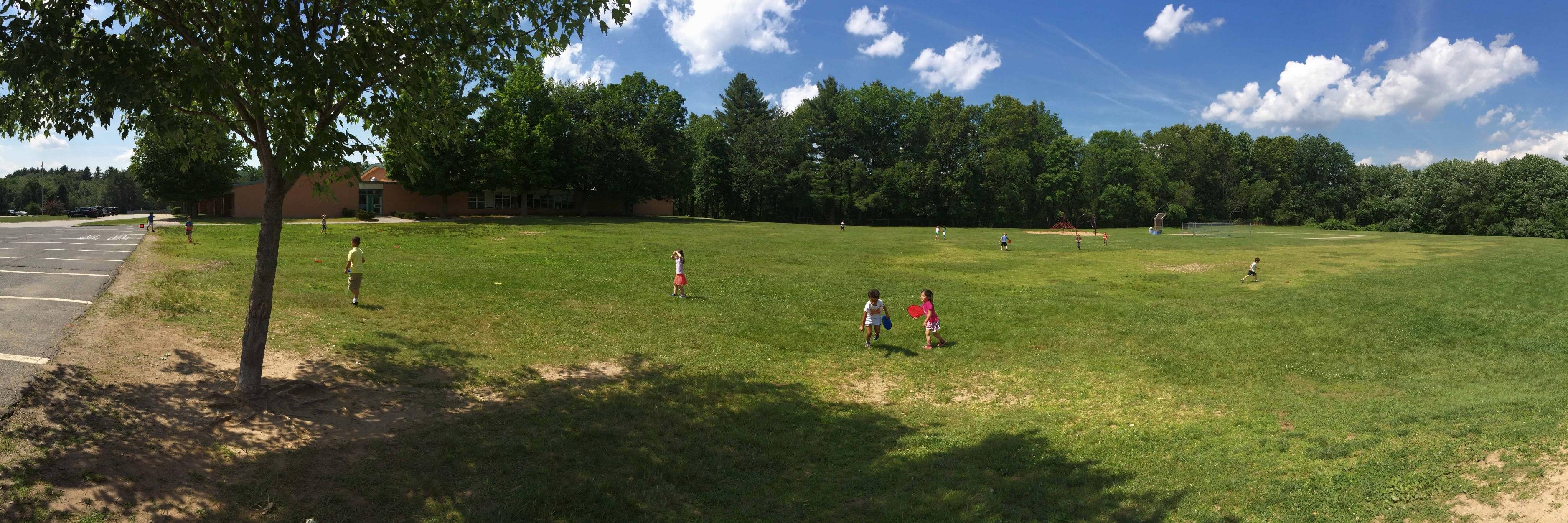 Patricia Rollins banner