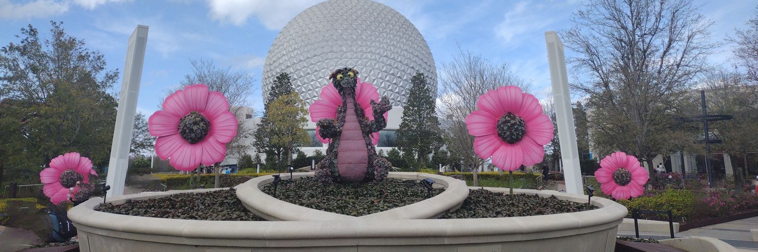 SellaDebra's profile banner image